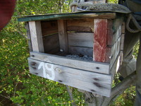 P5010061