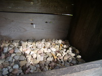 P4290048