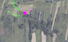 Krzeslin-krzyz_wka-swierszczak