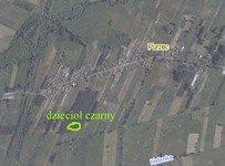 Purzec-dm