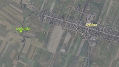Rzekotki