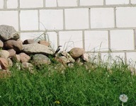 2010_0520wiosna120116