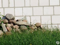 2010_0520wiosna120119