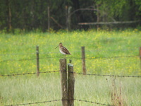 P5193035