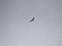 P5193128