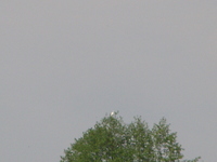 Imgp4099
