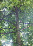 Dsc00135