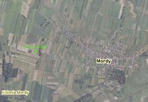 Mordy_-_swierszczak
