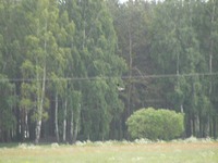 P5254164