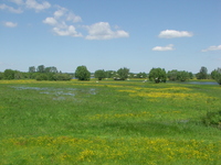 Imgp4137