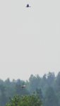 P5203323