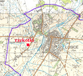 Rzekotki