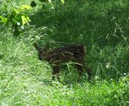 2010_0616wiosna1710104