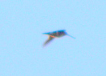 Truskaw_22.06.2010_063