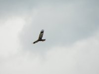 Mariew-23-06-2130