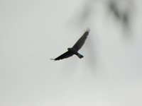 Mariew-23-06-2010_006
