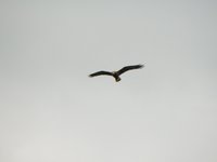 Mariew-23-06-2010_010