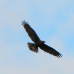 Mariew-23-06-2010_037