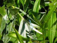Truskaw_28.06.2010_024