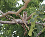 Dsc04664