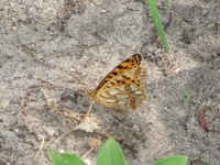 P1290813