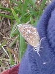 P1290870