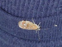 P1290872