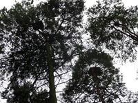 P1290821