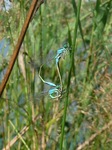 P1300228