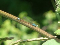 P1300222