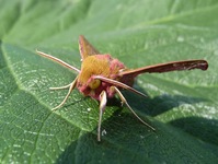 P1300658