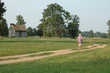 Dsc_0038cn__4_v