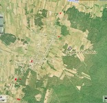 Tygrzyki_w_stoczku