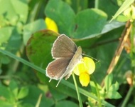 2010_0814lato50045