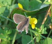 2010_0814lato50044