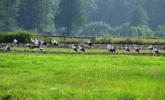 2010_0815lato60087