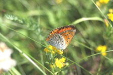 Img_7696