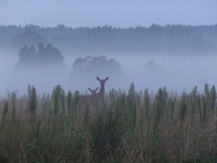 P1300693