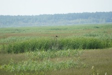 Dsc06488