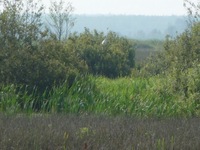P1300727