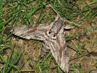 2010_0826lato8b0061