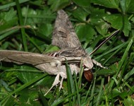 2010_0829lato9c0081