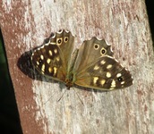 2010_0826lato8a0026