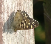 2010_0826lato8a0016