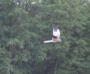 2010_0828lato9b0065