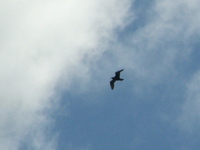 Dscf5685