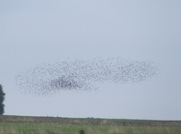2010_0910lato100200