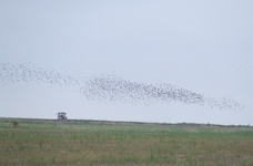 2010_0910lato100205