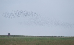 2010_0910lato100206