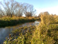 Image0049